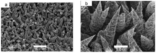 Preparation method of copper-silver micro-nano composite layer material