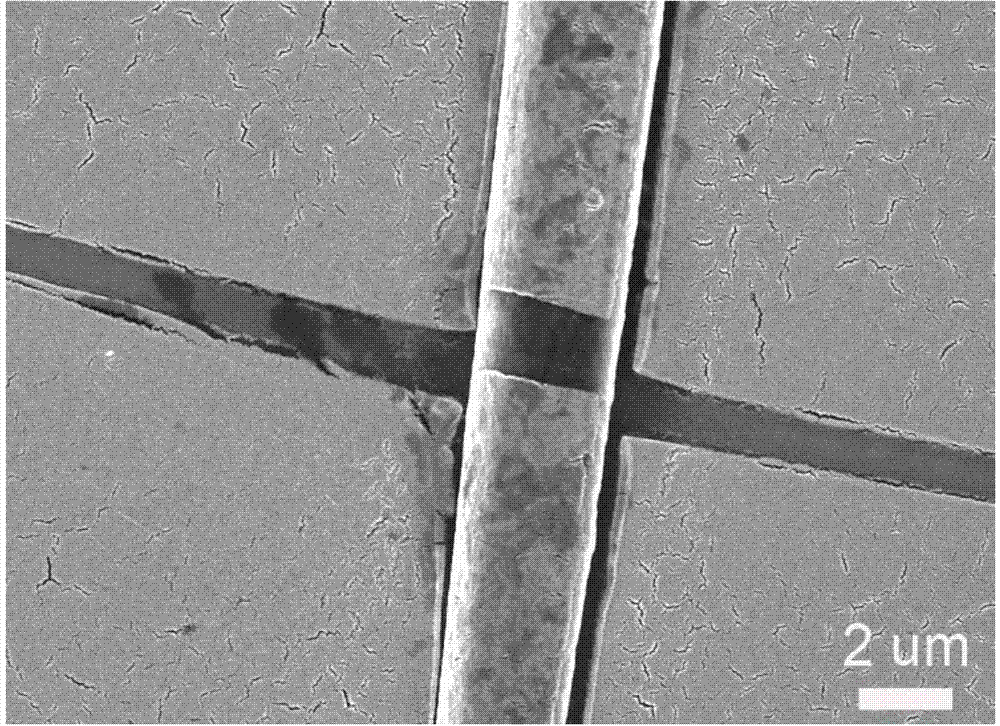 Micrometer wire made from perylene bisimide derivatives and application of micrometer wire
