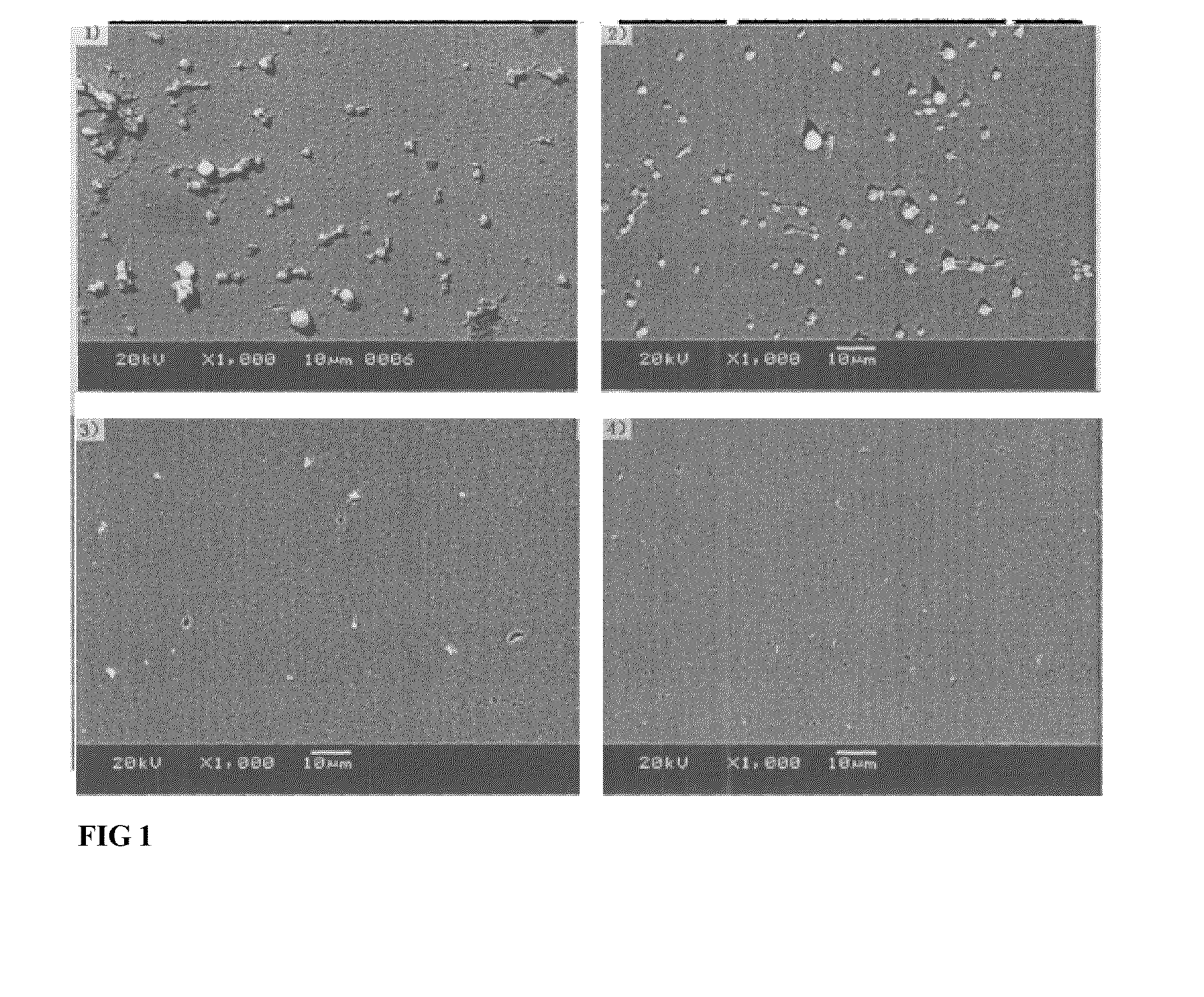 Blood vessel stent of amidoglucosan polysaccharide loaded with cd133 antibody and its preparation method