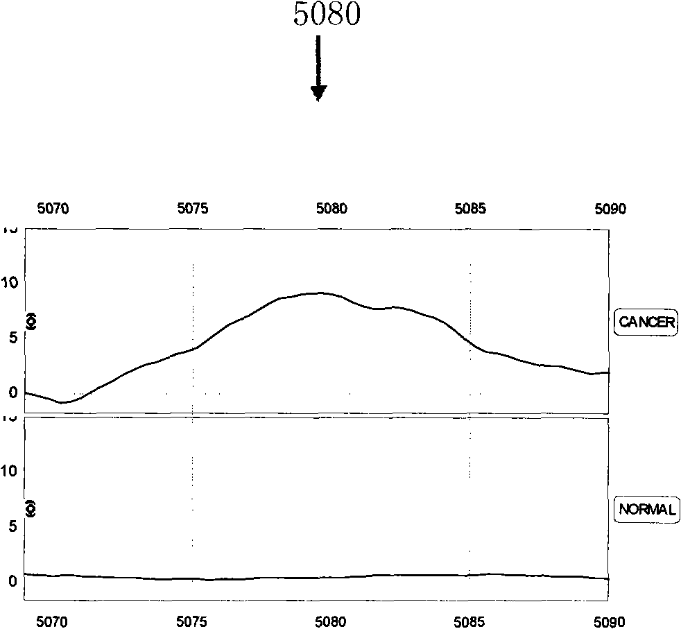 Optimizing mass spectrogram model for detecting liver cancer characteristic protein and preparation method and application thereof