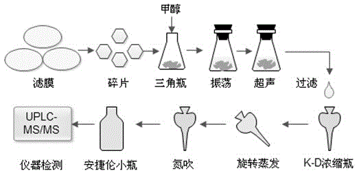 Method for the extraction, enrichment and quantification of trace amounts of sarafloxacin on suspended particulates in water