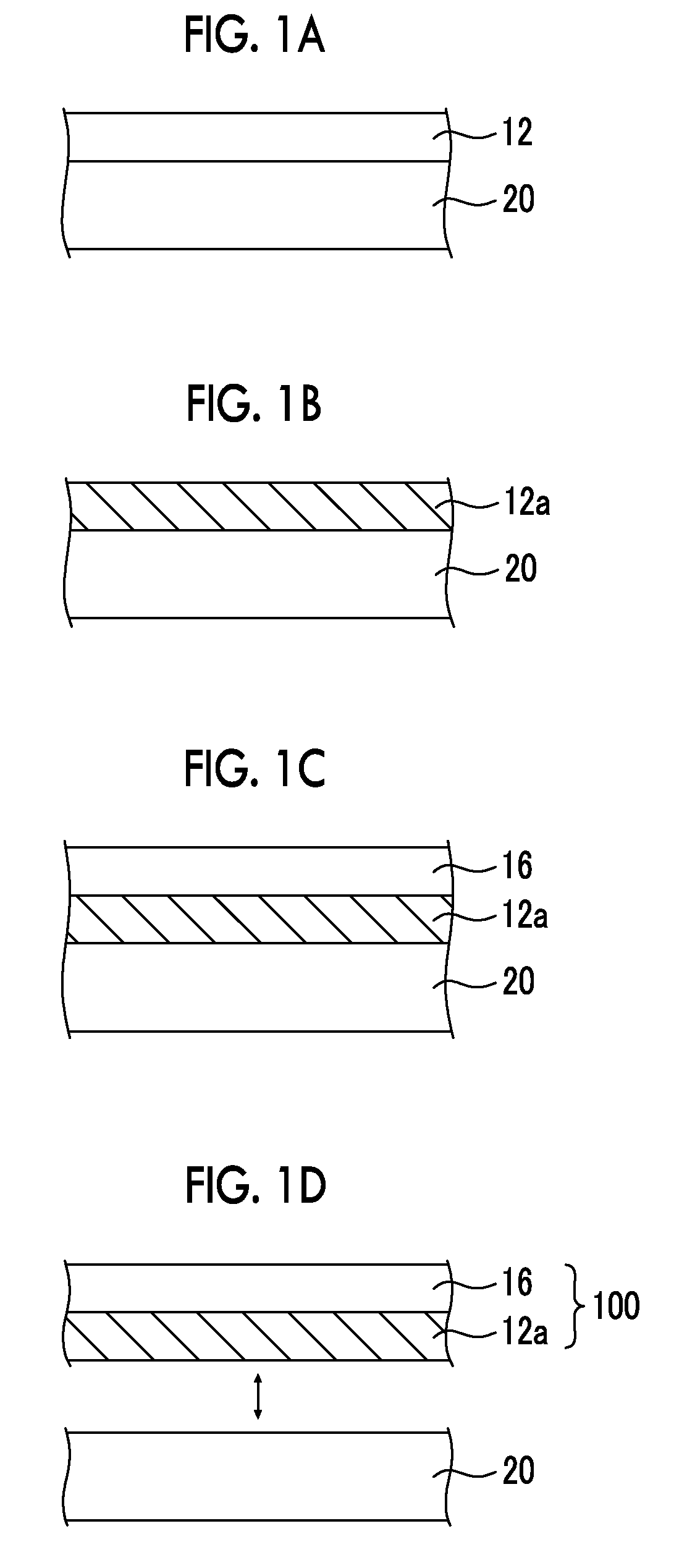 Method for producing photocatalyst electrode for water decomposition