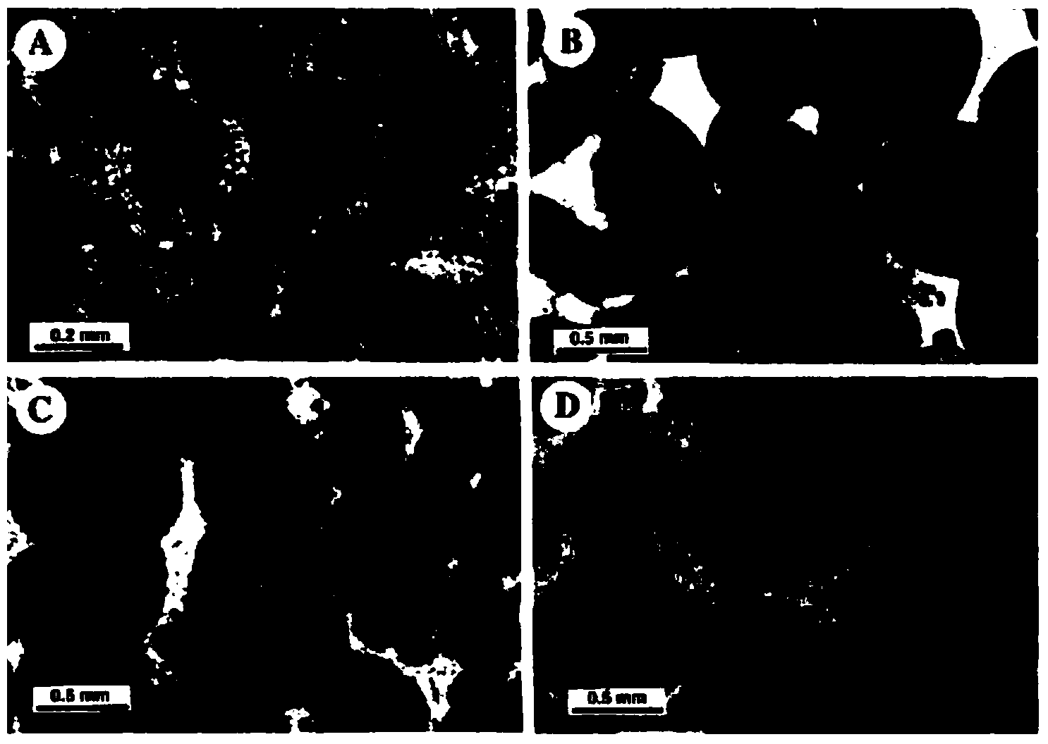 Method for quantitatively expressing carbonate rock pore evolution contribution