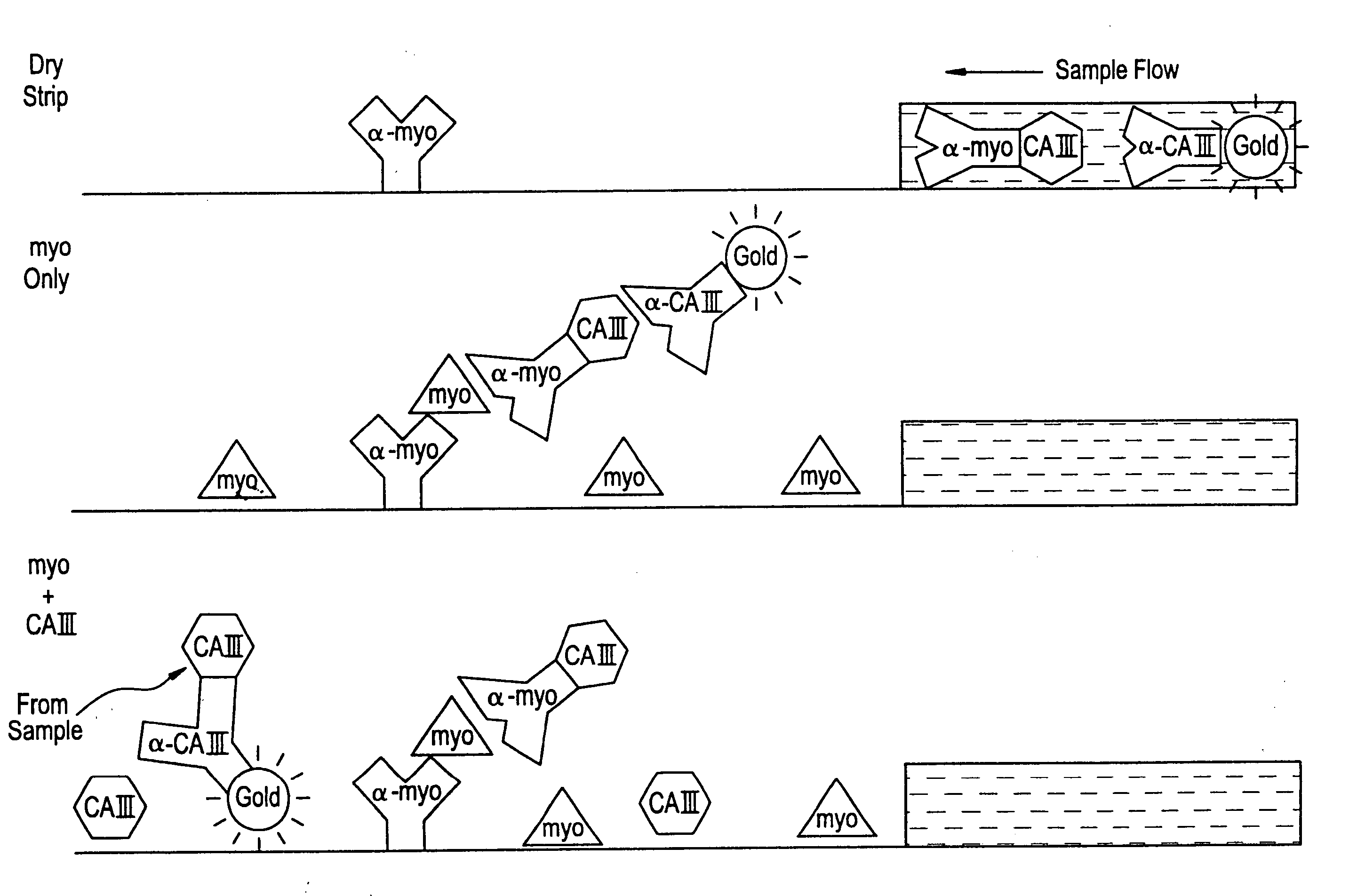 Differential immunoassay