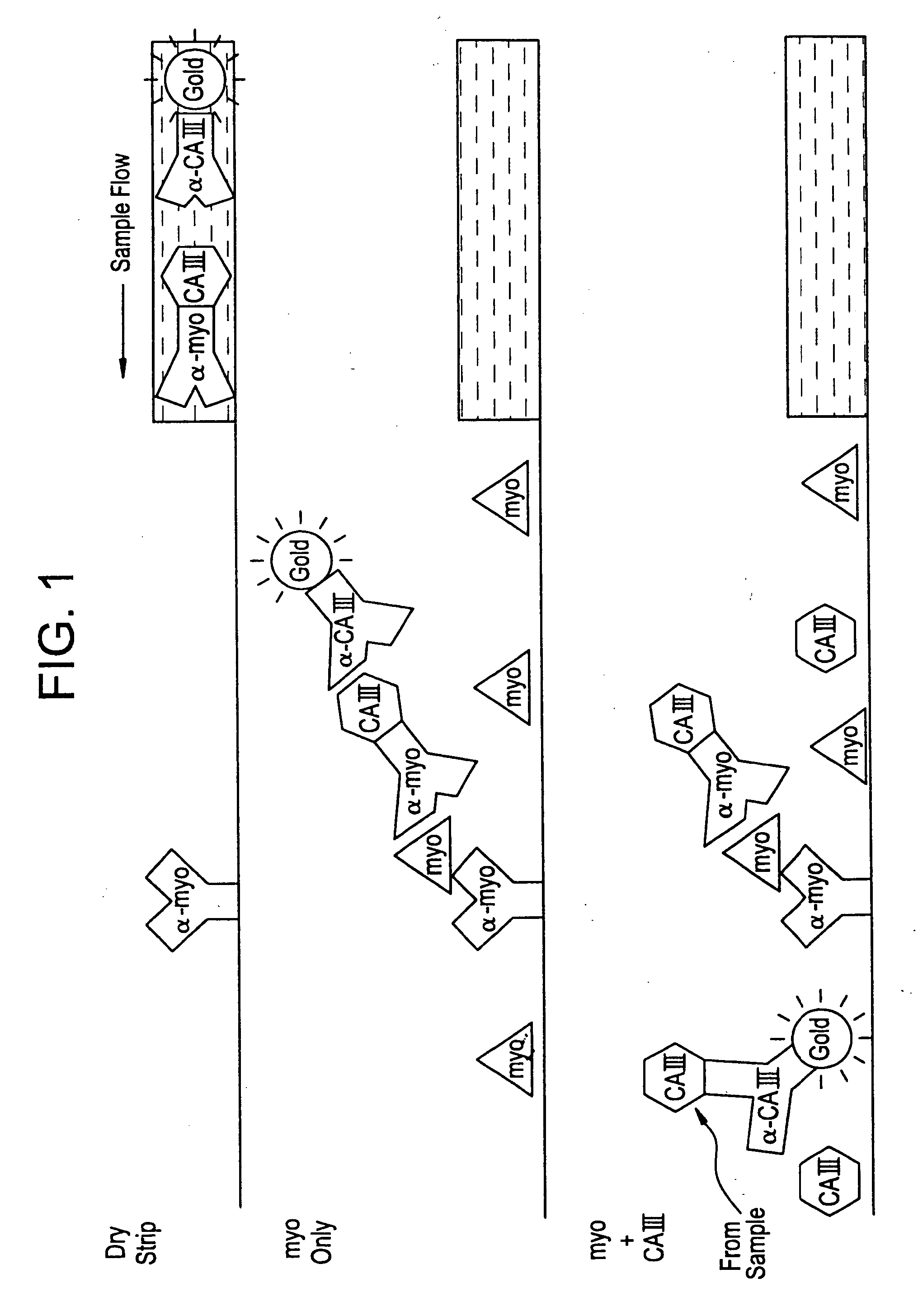 Differential immunoassay