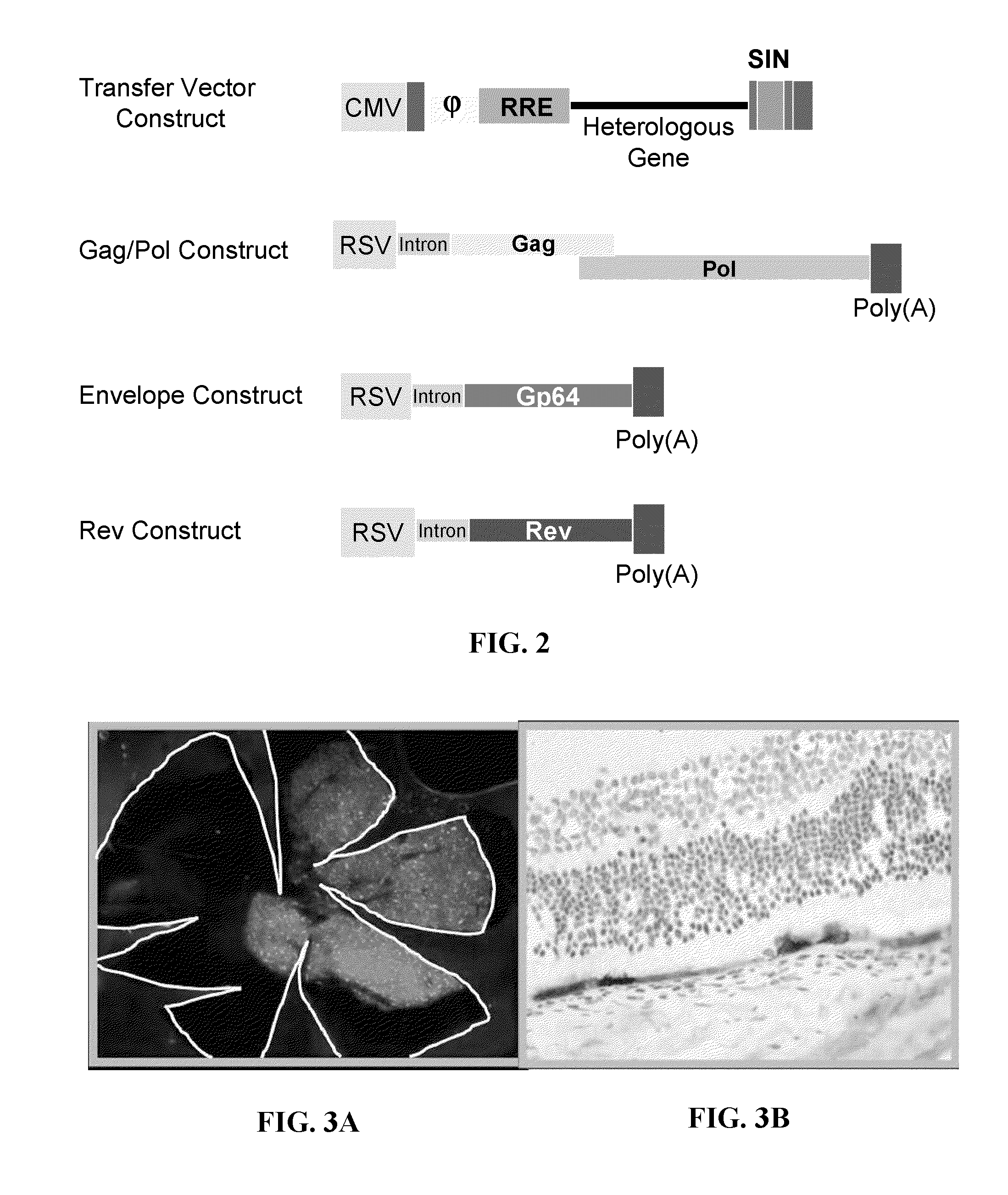 Treatment of diseases characterized by inflammation