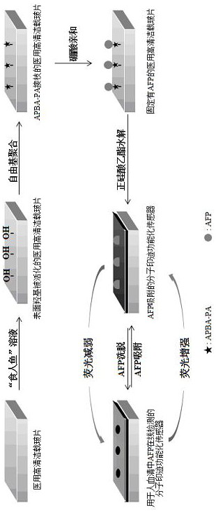 Preparation of a Molecularly Imprinted Sensor for Online Detection of AFP in Human Serum