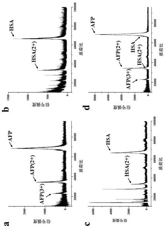 Preparation of a Molecularly Imprinted Sensor for Online Detection of AFP in Human Serum