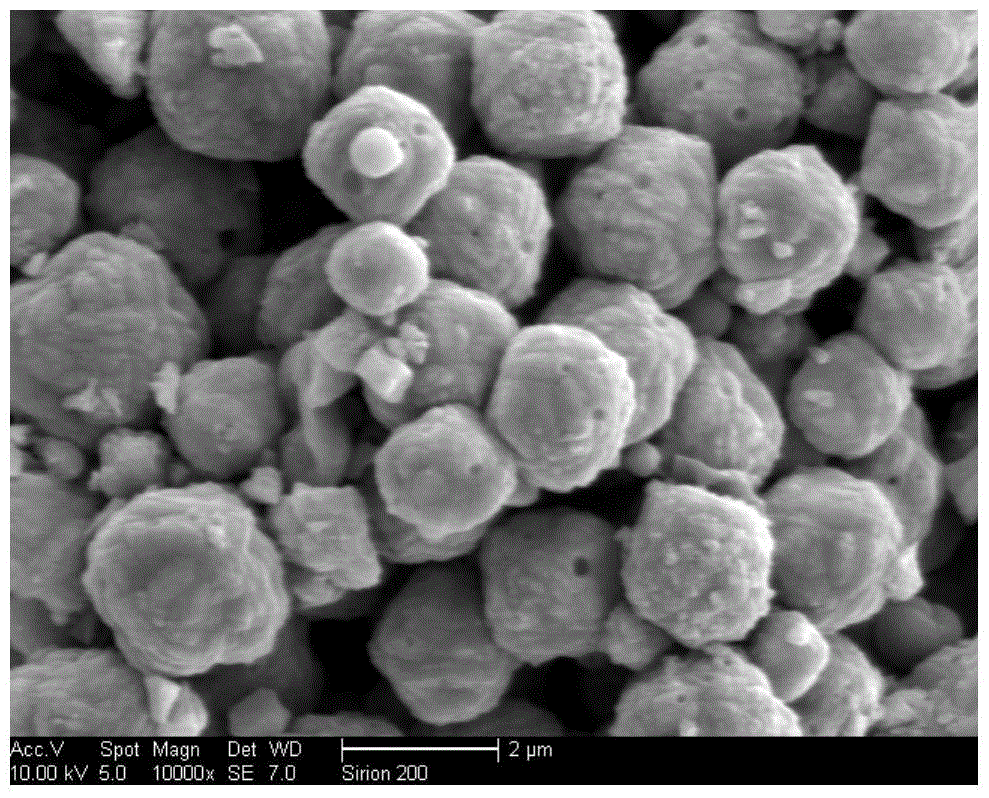 Method for preparing pyrite phase iron disulfide thin film