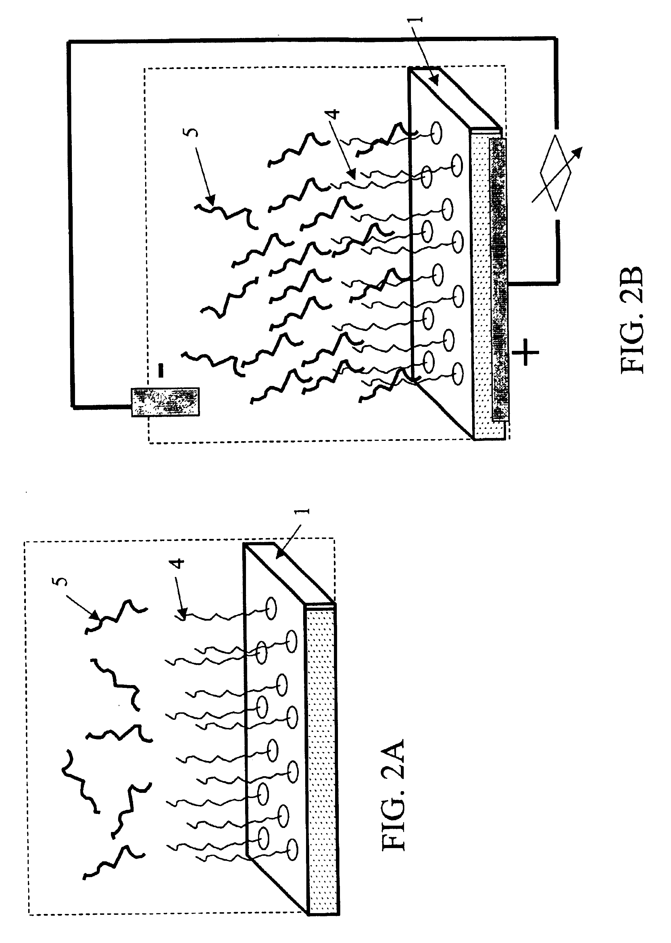 Conductive microplate