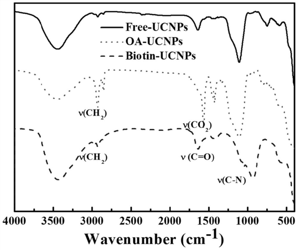 Preparation method of a kind of near-infrared light-controlled visible drug carrier