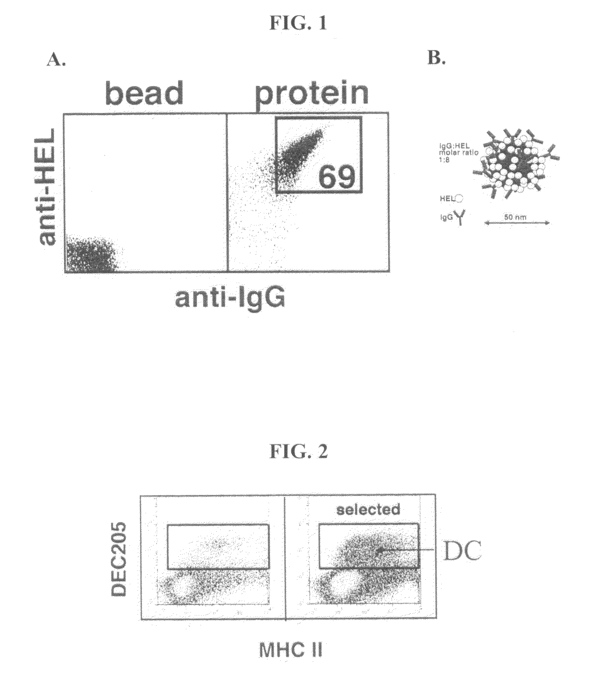 Dendritic cell targeting compositions and uses thereof