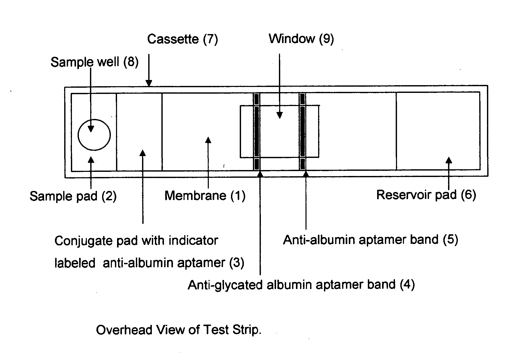 Aptamer Based Point-of-Care Test for Glycated Albumin