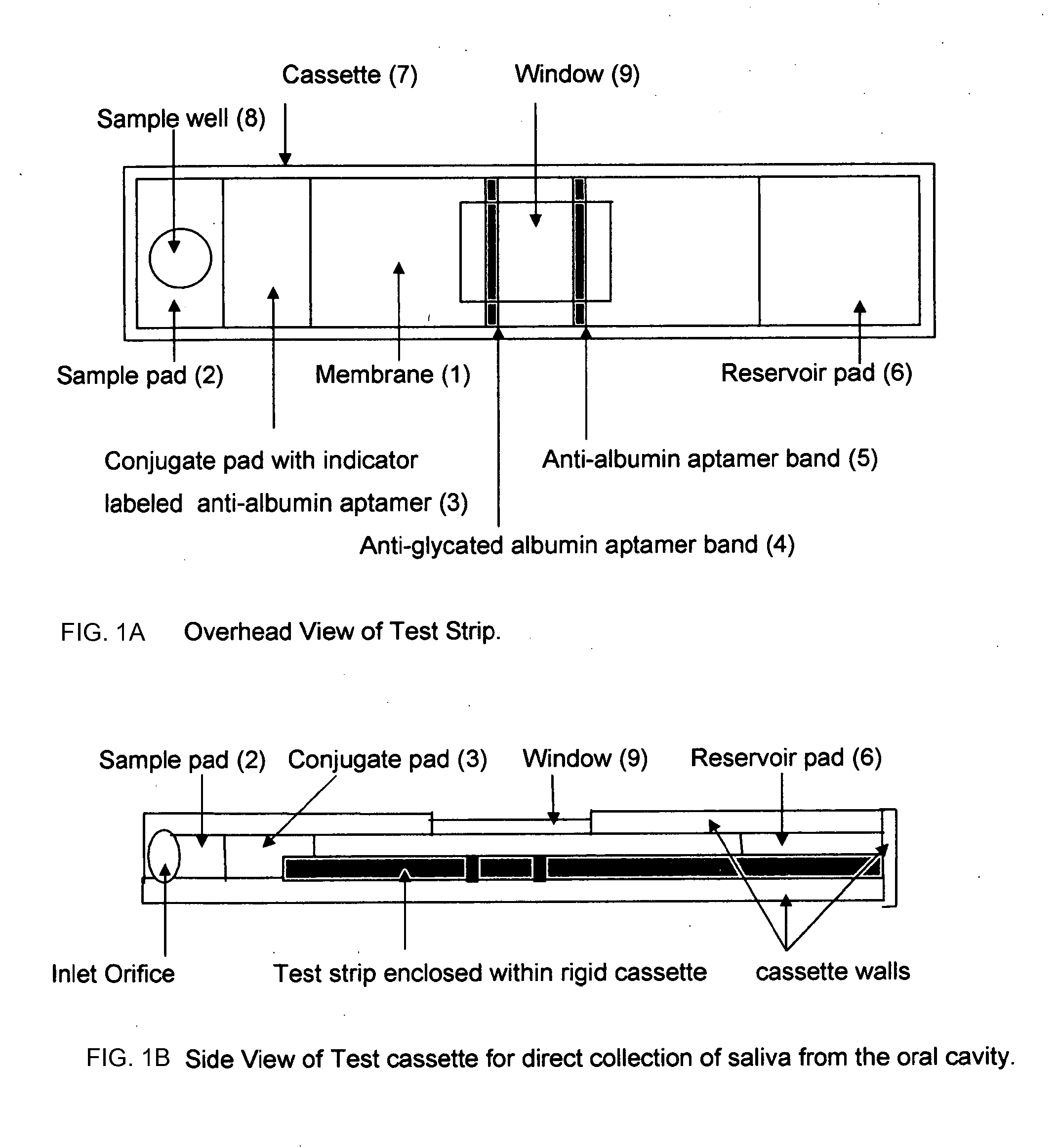 Aptamer Based Point-of-Care Test for Glycated Albumin