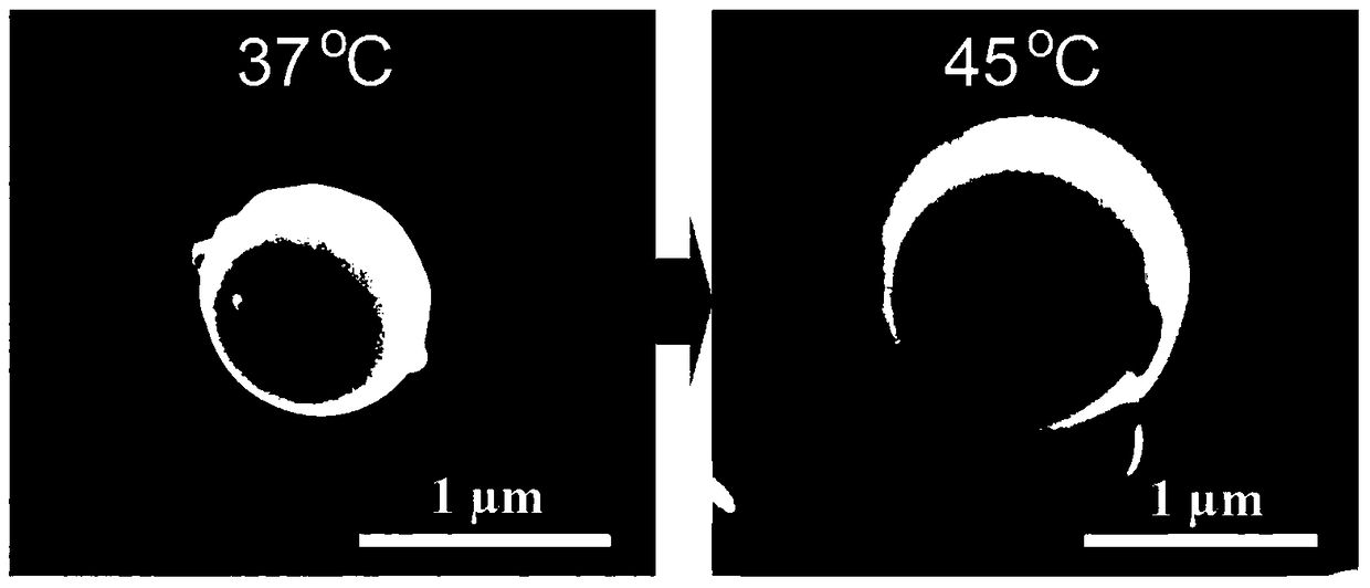 A kind of preparation method of temperature-controlled drug release polymer microsphere material