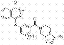 Novel phthalazinone derivatives and uses thereof