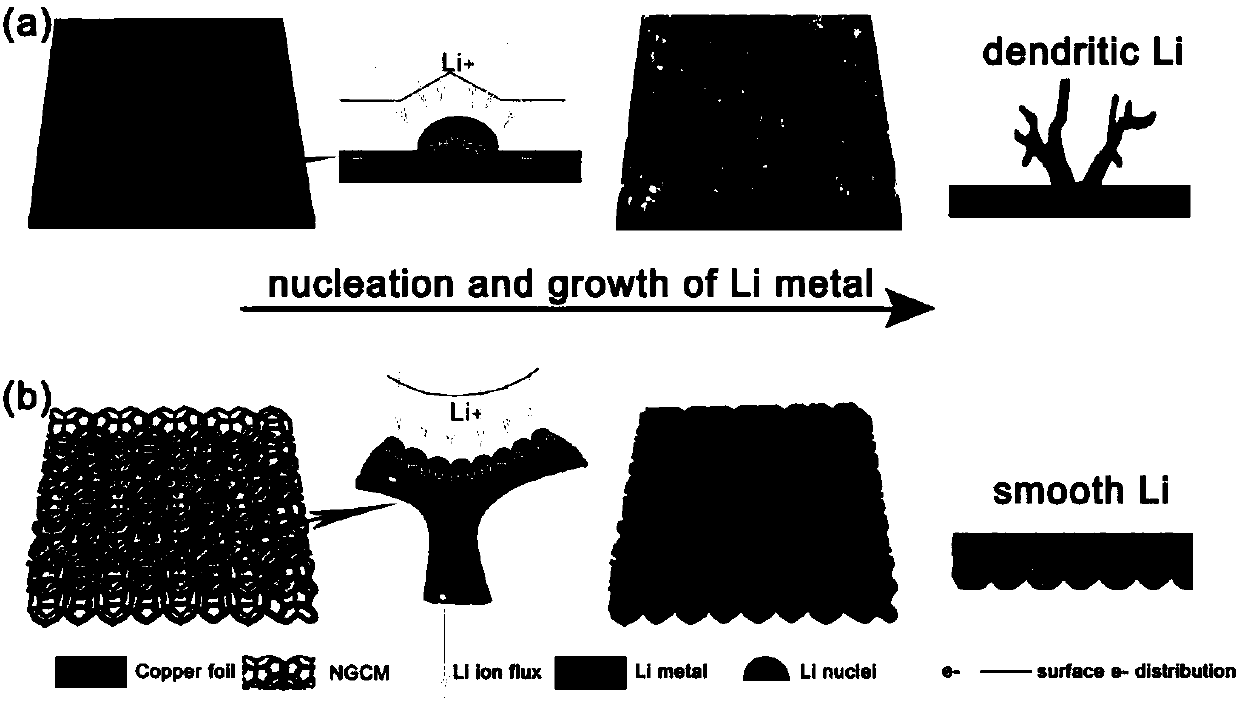 Three-dimensional self-supported lithium-loving carrier-packaged metal lithium composite negative electrode and preparation method thereof