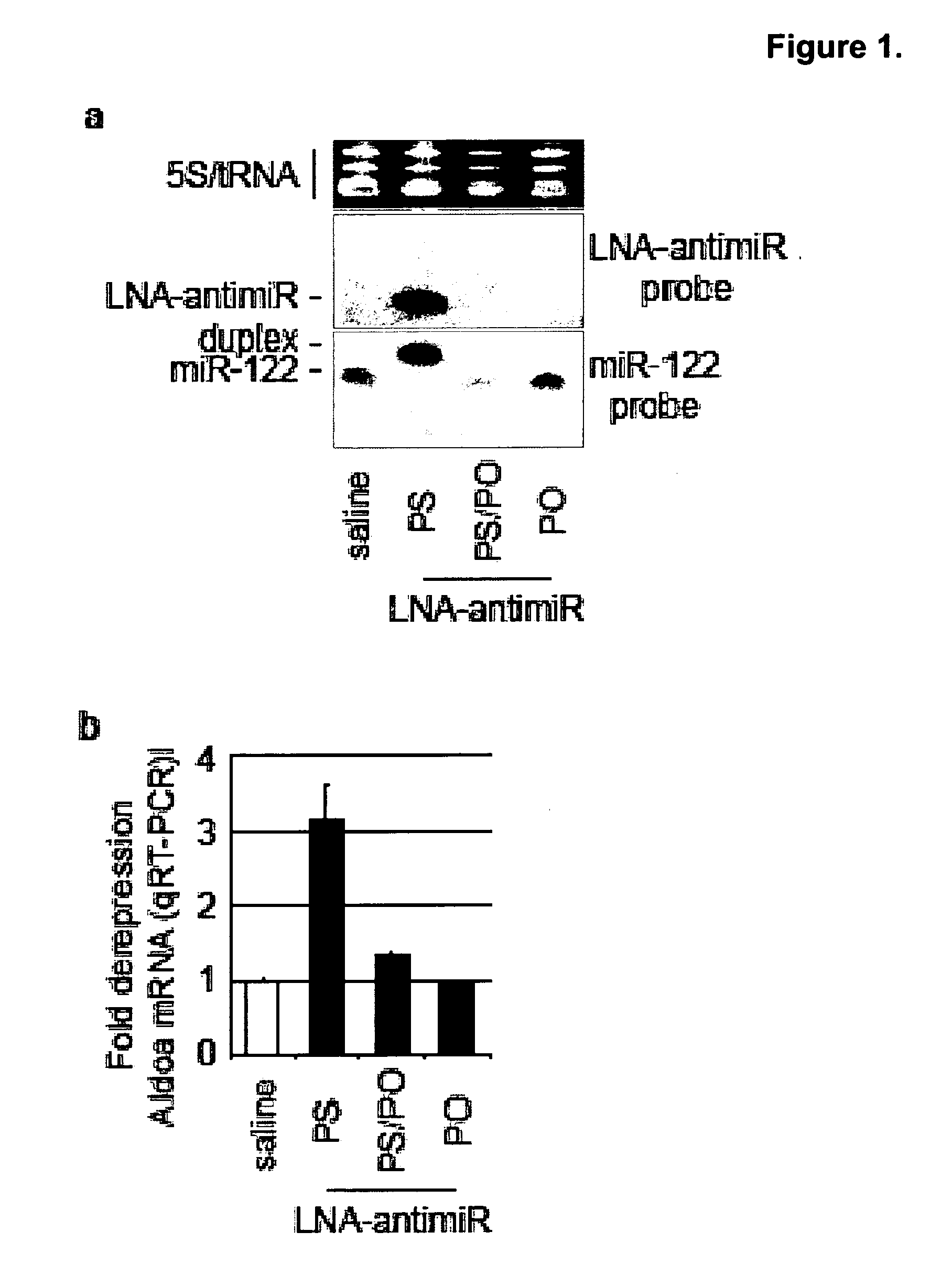 Pharmaceutical Compositions for Treatment of MicroRNA Related Diseases