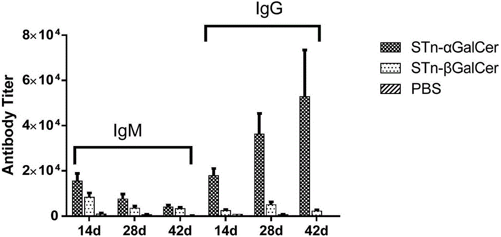 Liposomal vaccine preparation and use thereof, as well as method for producing IgG antibody