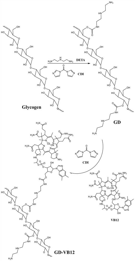 A glycogen derivative targeted for absorption and biodegradation in the small intestine, its preparation method and its nanoparticle loaded with tea polysaccharide