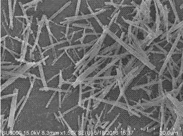 Preparation method for zinc titanate photocatalytic material with special morphology