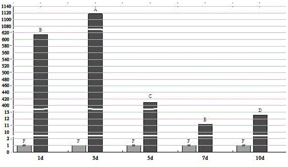 Method for enhancing and carrying out suppression expression on activity of miRNA in embryogenic callus of longan