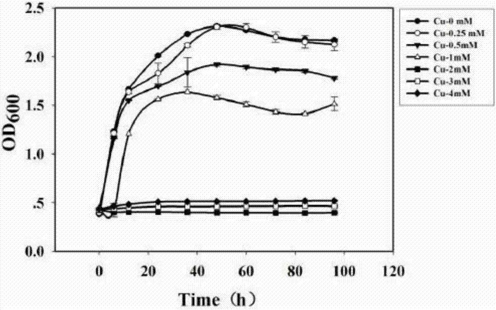 Citrobacter sp.JPG1 for heavy metal copper ion removal and application thereof