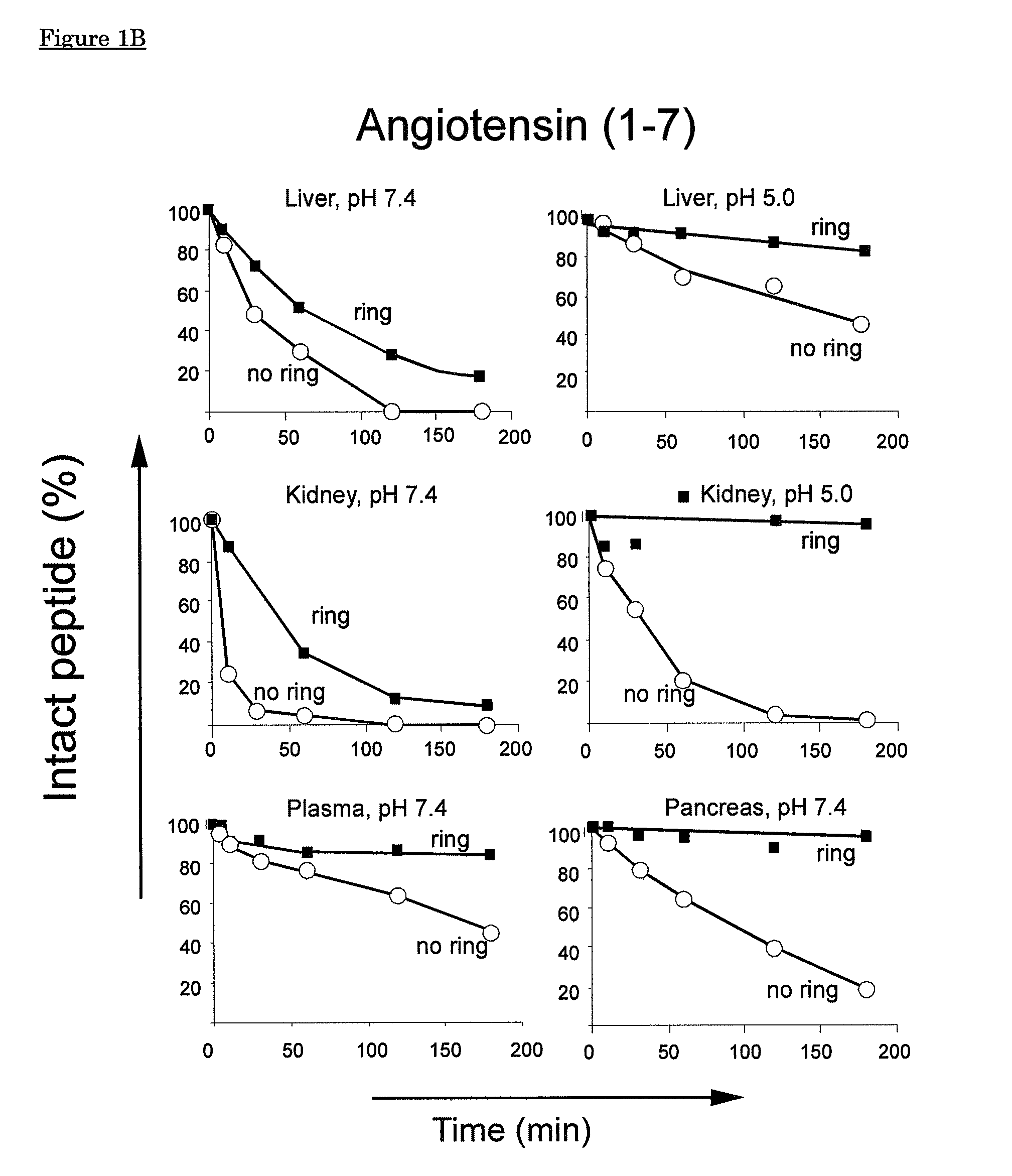 Cyclic angiotensin analogs