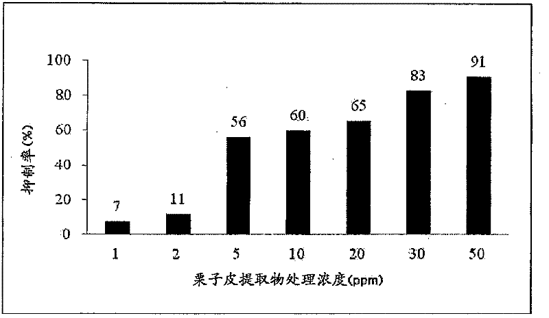 Cosmetic composition comprising chestnut shell extract