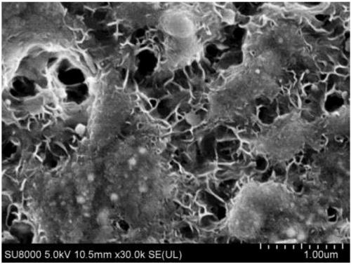 Ru/MgO catalyst and preparation method and application thereof