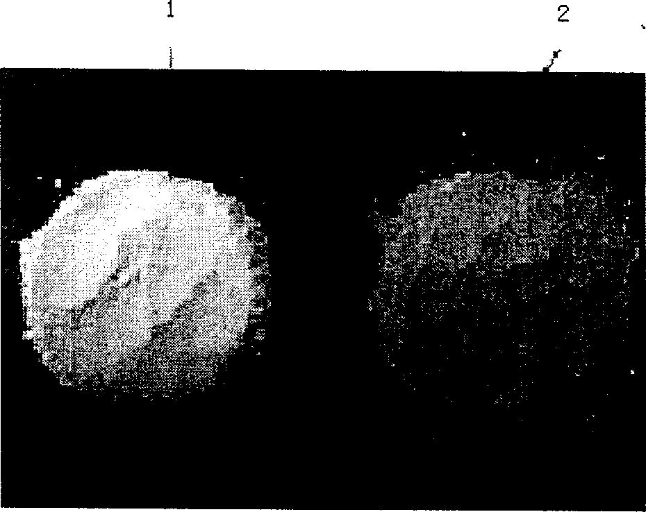 Preparation method for discoloration tolerant antibacterial material of silver-loaded titanium phosphate