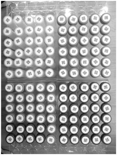 Batch QR code image extraction method and system