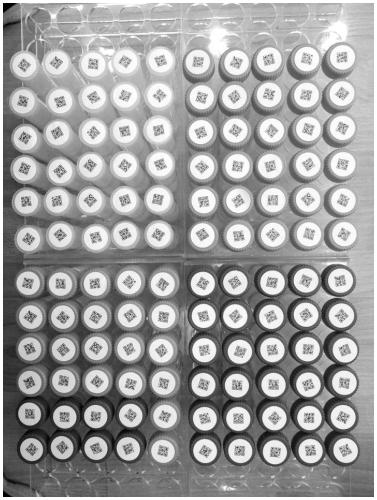 Batch QR code image extraction method and system