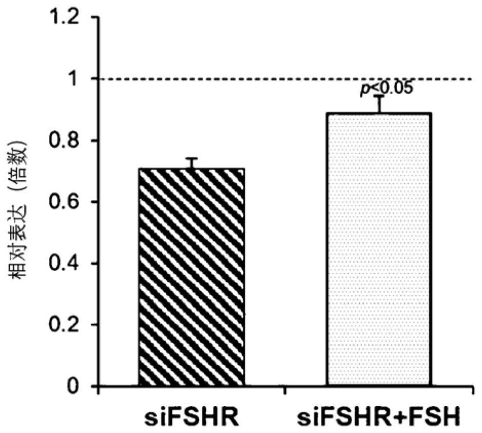 Biomarker for diagnosing or predicting reactivity of ovary to fsh and use thereof