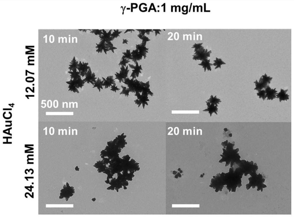 One-step synthesis of star-shaped gold nanoparticles based on polyglutamic acid and preparation method thereof