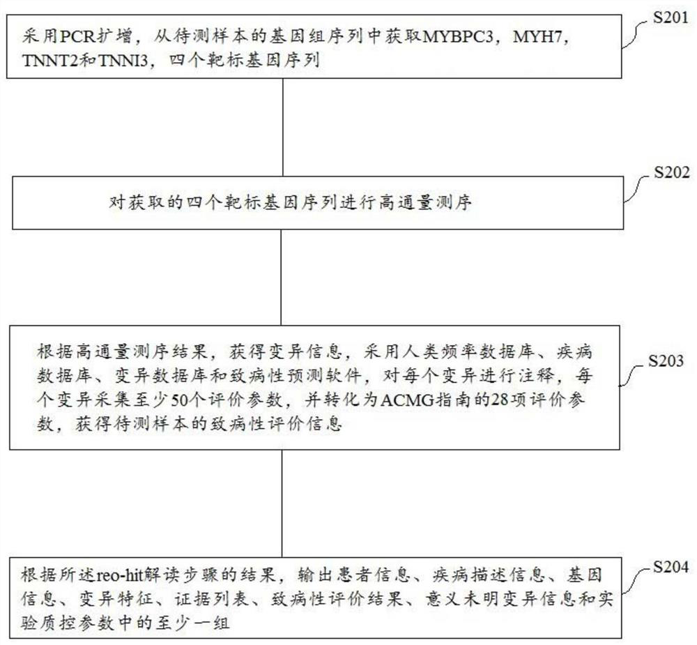 Hypertrophic cardiomyopathy and related gene detection method and device and storage medium