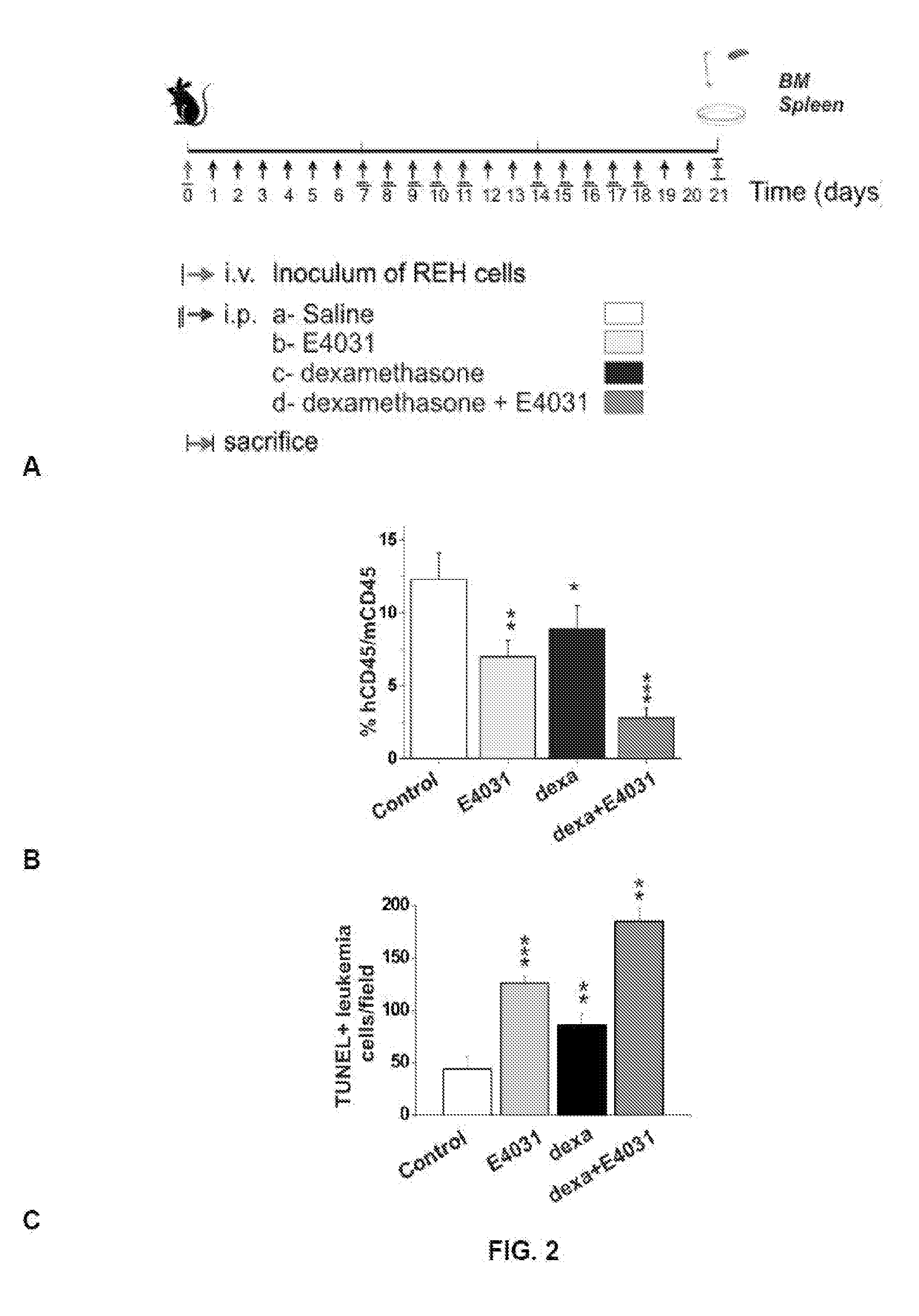 Compositions for treatment of chemoresistant and/or potentially chemoresistant leukaemias