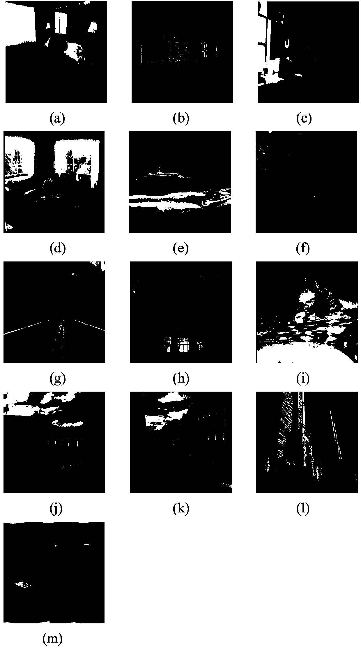 Multi-scale dictionary natural scene image classification method based on latent Dirichlet model