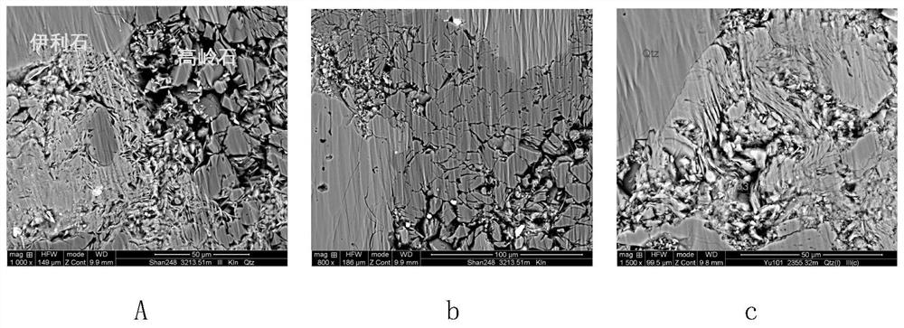 Casting-body-effect-free reservoir evaluation method based on nanoparticle filling experiment