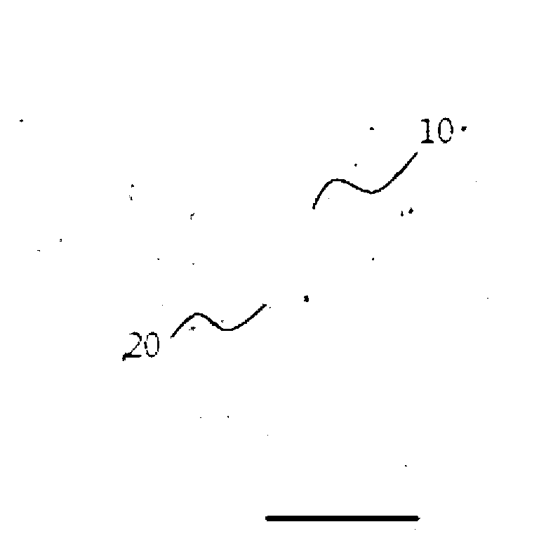 High frequency heating apparatus