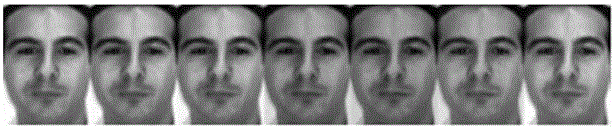 A Face Recognition Method Based on Low-rank Block Sparse Representation