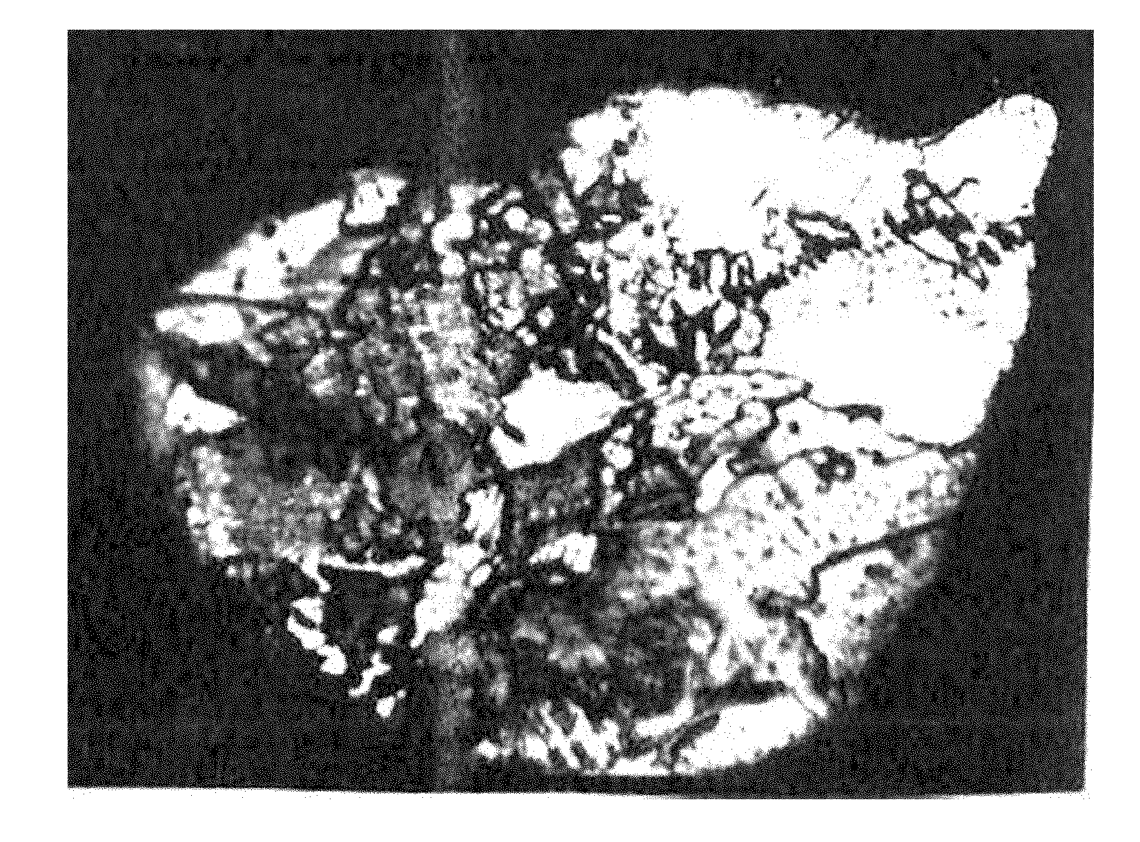 Alloy material for positive grid of storage battery and preparation method thereof