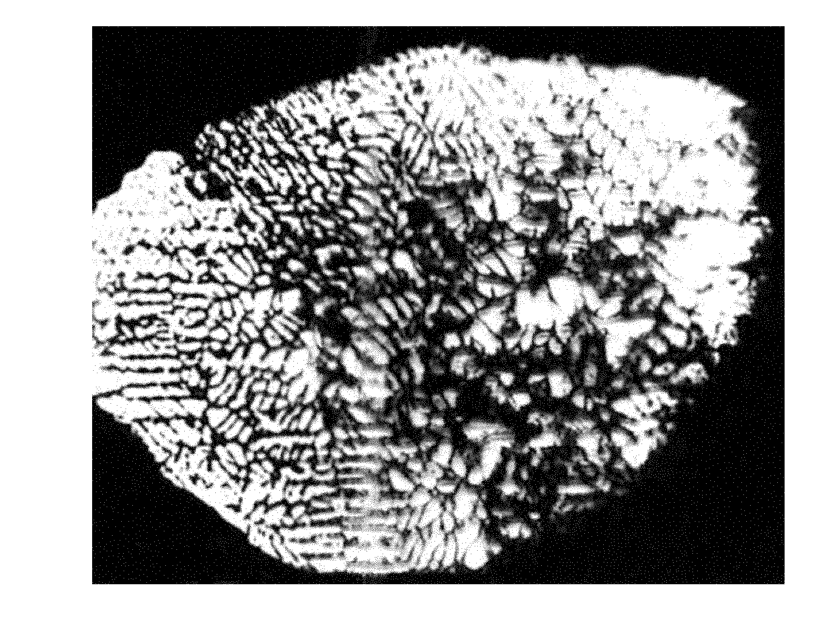 Alloy material for positive grid of storage battery and preparation method thereof