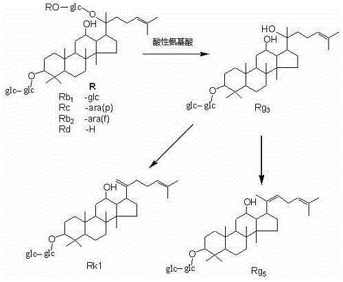 Method for preparing rare ginsenoside by hydrolyzing ginsenoside with acidic amino acid