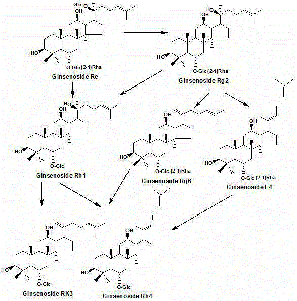 Method for preparing rare ginsenoside by hydrolyzing ginsenoside with acidic amino acid