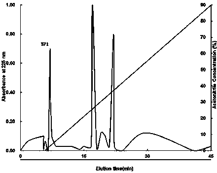 Antifreeze polypeptide prepared by utilizing alkaline protease to carry out enzymolysis on collagens from fish skins