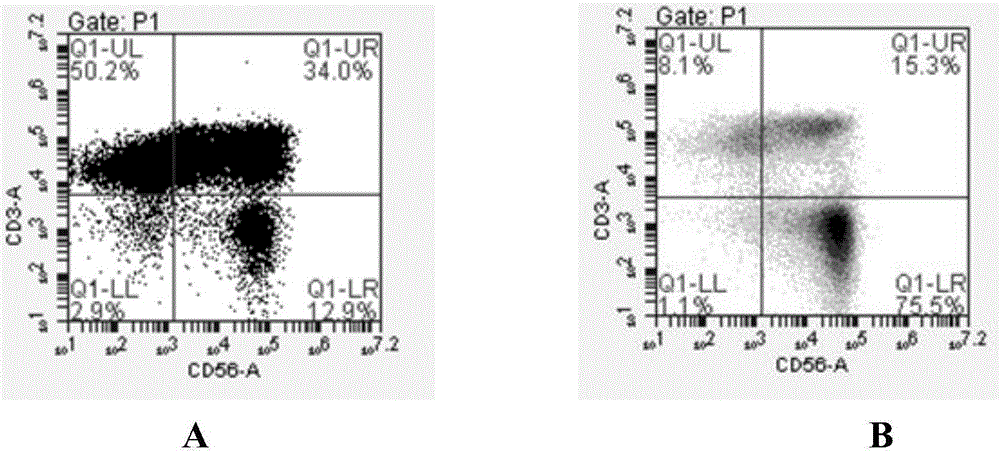 Culture method for gamma delta T cell