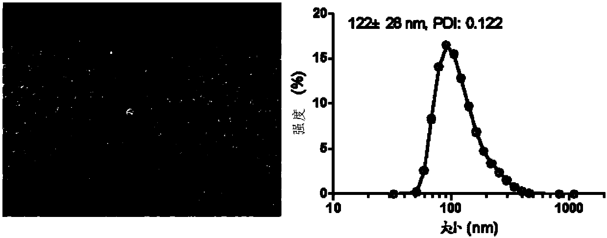 A kind of antitumor drug conjugate, preparation method, preparation and application