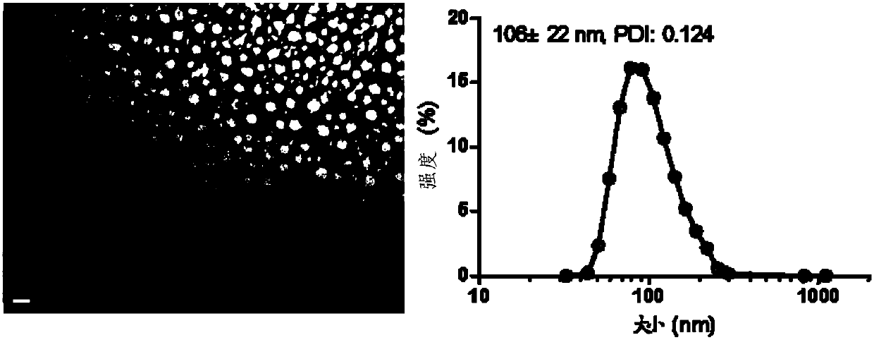 A kind of antitumor drug conjugate, preparation method, preparation and application