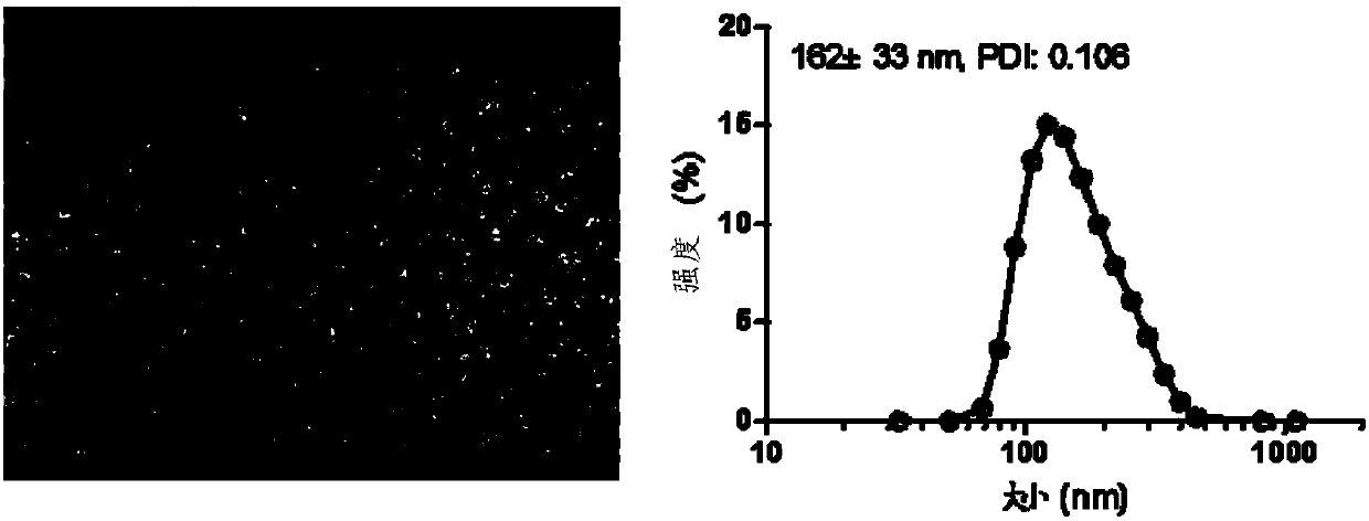 A kind of antitumor drug conjugate, preparation method, preparation and application